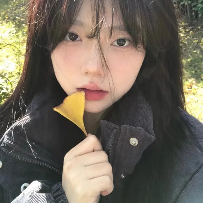 我们恋爱的履历